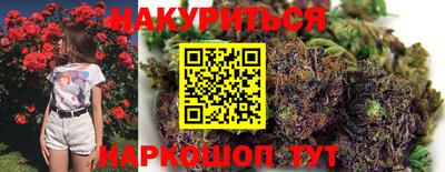 spice Кингисепп