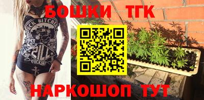 spice Кингисепп