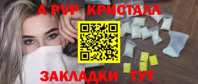 spice Кингисепп