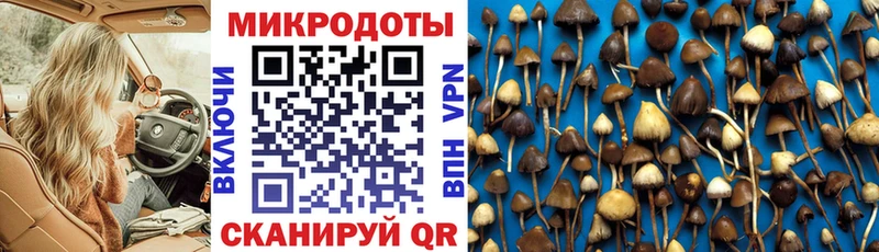Псилоцибиновые грибы Psilocybe  хочу   Каменск-Уральский 