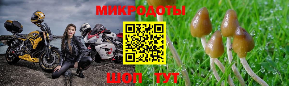 Галлюциногенные грибы Psilocybe  Вход с VPN  Псилоцибиновые грибы мицелий  Каменск-Уральский 